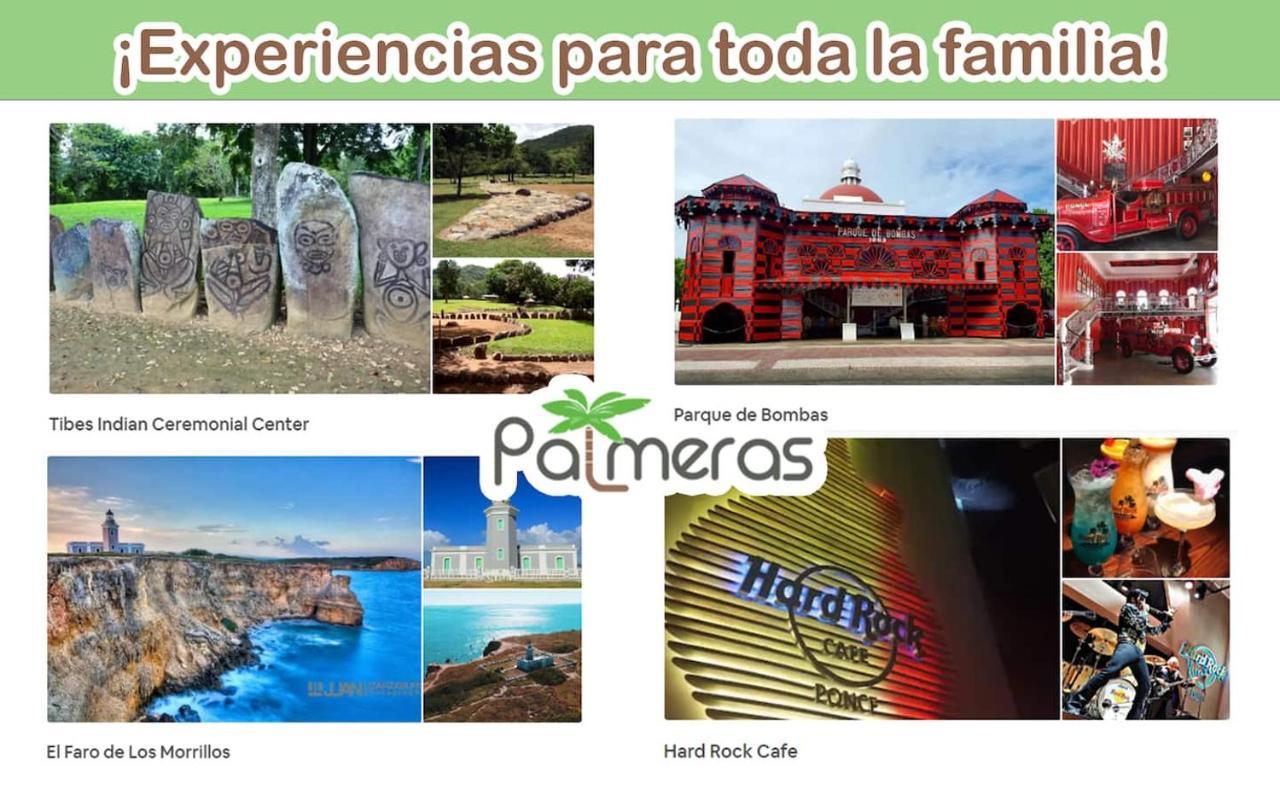 Palmeras Beach Apartments - Playa Santa Guanica Ngoại thất bức ảnh