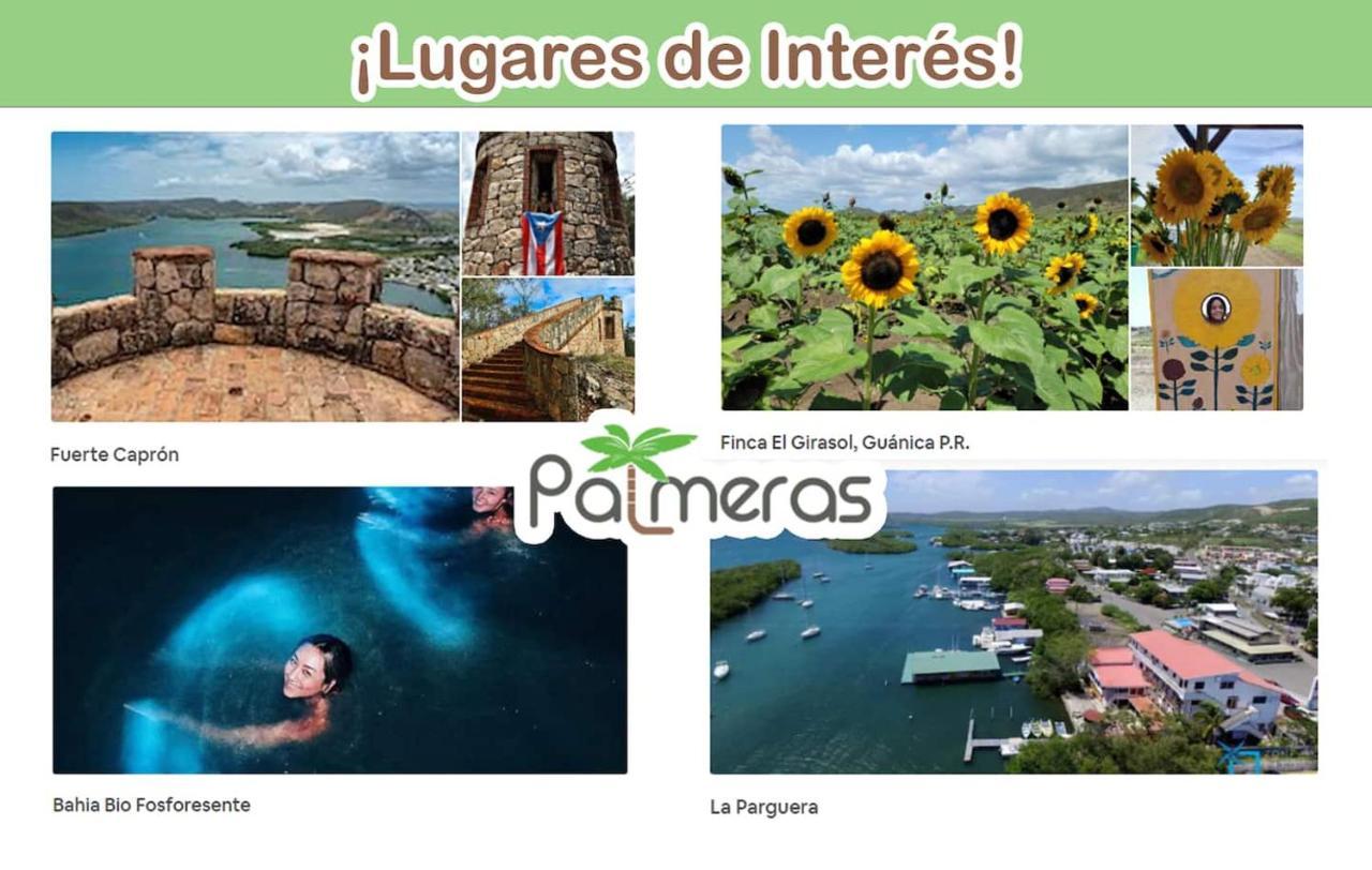 Palmeras Beach Apartments - Playa Santa Guanica Ngoại thất bức ảnh